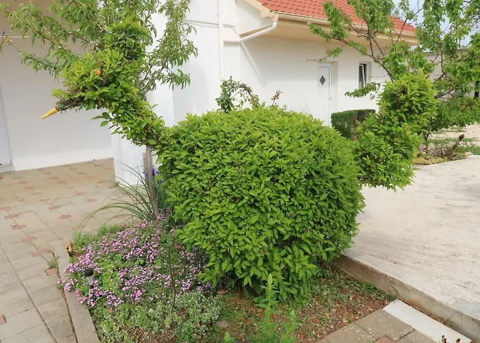 Apartman La Maison