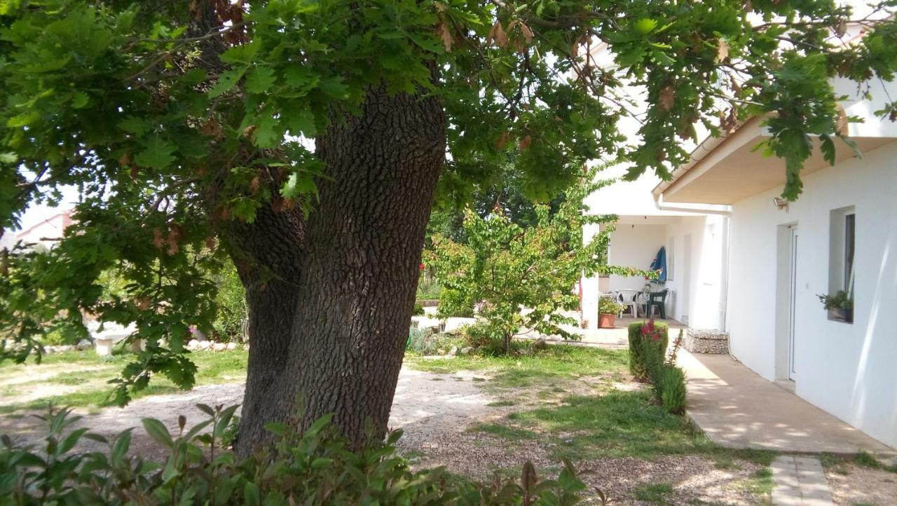 La Maison Zadar