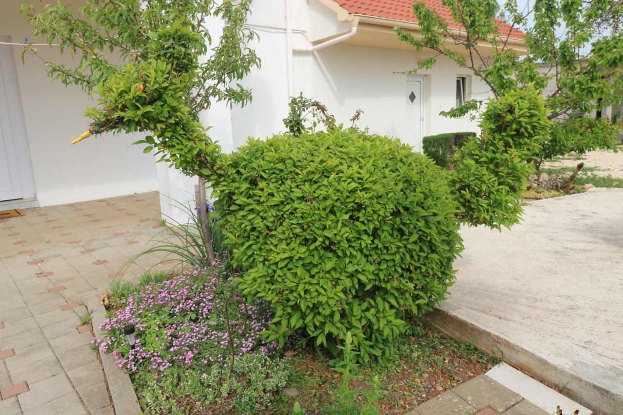 La Maison